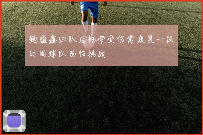 鲍盛鑫归队后韧带受伤需康复一段时间球队面临挑战